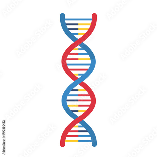 A vibrant twisting DNA double helix strand with red, blue, yellow, and green base pairs in glossy flat vector style, ideal for genetics, biology, science education, or medical research illustrations.