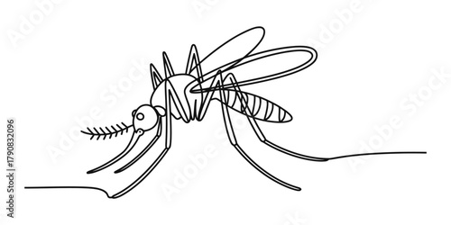Mosquito line art drawing illustration in minimalist black and white style, representing insect pest, disease vector, and summer nuisance Vector