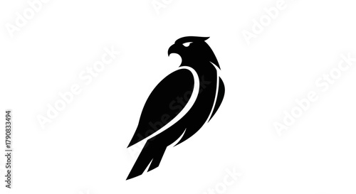 Silhouette of a majestic hawk on white background for design elements
