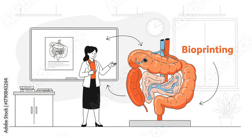 Illustrative depiction of bioprinting process with human digestive system, focusing on the colon