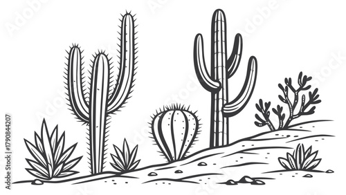 Resilient Desert Cacti and Succulents Line Art Illustration Arid Landscape Drawing for Nature Guides Travel Blogs and Southwestern Design Elements
