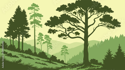 Peaceful Green Forest Landscape Vector. Layered Trees and Hills for Environmental Design, Outdoor Travel, Nature Conservation, and Sustainable Living Backgrounds.