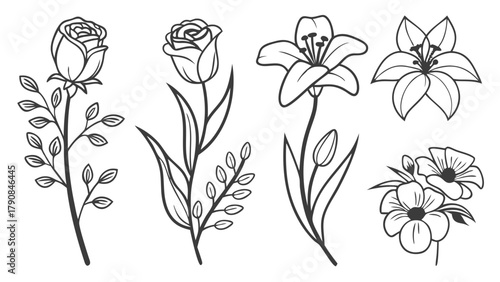 Beautiful Floral Line Art Illustrations Set for Web Design, Branding, Wedding Invitations, and Crafts. Hand Drawn Outline Flowers for Versatile Creative Projects.