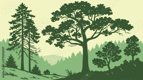 Serene Green Forest Landscape Vector Illustration. Nature Environment Design for Sustainability and Eco-Friendly Branding.