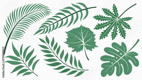 Green Tropical Leaves Vector Illustration Set Botanical Foliage Elements for Nature Inspired Web Design Branding Marketing and Summer Decor
