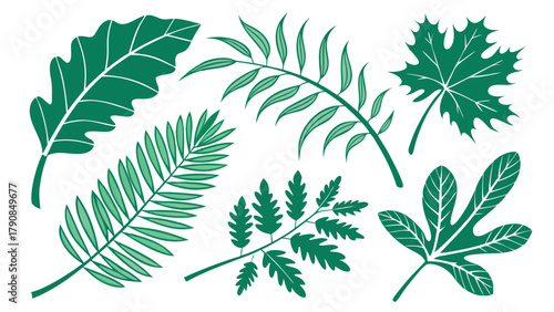 Diverse Green Leaves Collection Vector Fresh Natural Foliage for Eco-Friendly Design Organic Branding and Spring Summer Projects