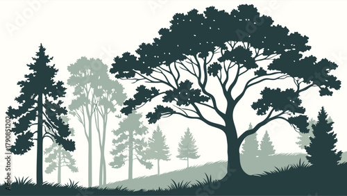 Lush Forest Silhouette Vector Illustration Woodland Landscape Nature Environment Web Design Background Graphic Ecology Conservation Sustainable Growth