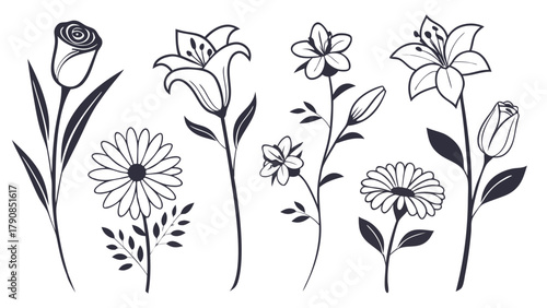 Elegant Flower Outline Drawings Set. Hand Drawn Botanical Illustrations for Graphic Design, Web Projects, Branding, Invitations, and Nature-Inspired Crafts.