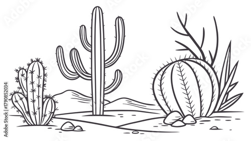 Southwest Desert Cacti Landscape Line Art Illustration for Nature Education Travel Guides Web Design and Coloring Pages