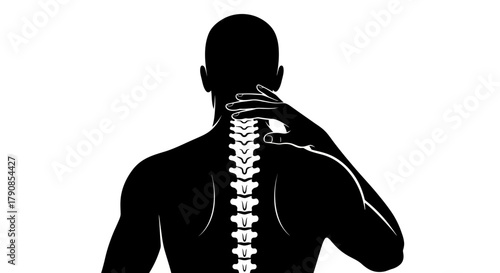 Silhouette of a man revealing detailed spinal column anatomy from the back