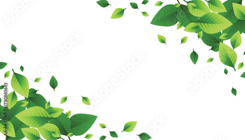 green leaves isolated on white background, editable file