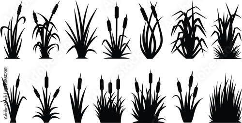 Wild Grass and Reed Silhouettes Set, Nature Plant Vector Icons Collection