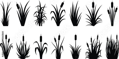 Wild Grass and Reed Silhouettes Set, Nature Plant Vector Icons Collection