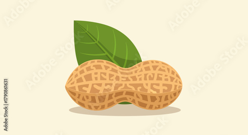 A Vibrant Peanut Plant Illustration, Showcasing a Nut and a Lush Green Leaf