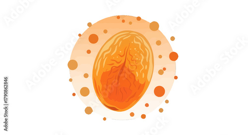 Abstract Illustration Of Detailed Botanical Or Cellular Structure Against Black Backdrop