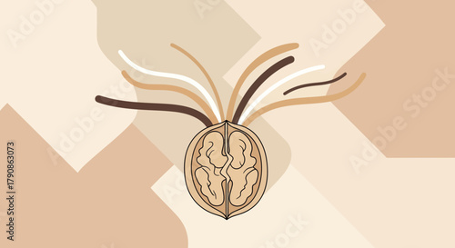 Abstract Illustration of Walnut and Emanating Lines with Minimalist Background