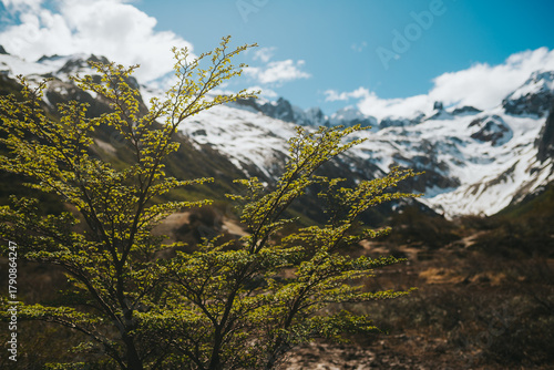 Trekking to Laguna Esmeralda - Ushuaia - Argentina.