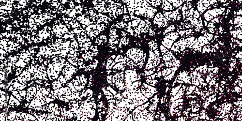 Black and white seamless grunge wall texture with dry cracked earth pattern branch design