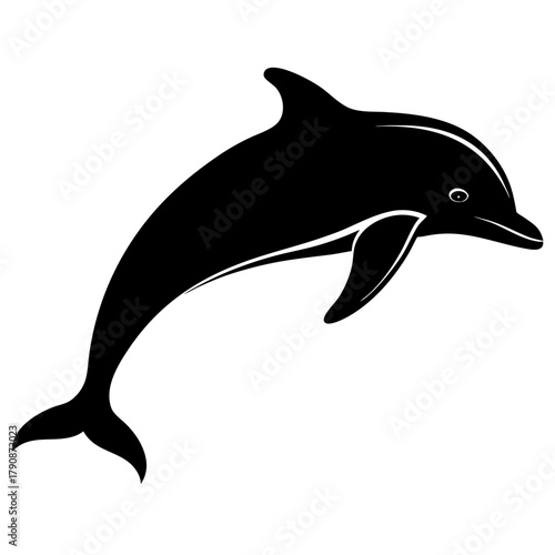 dolphin vector illustration