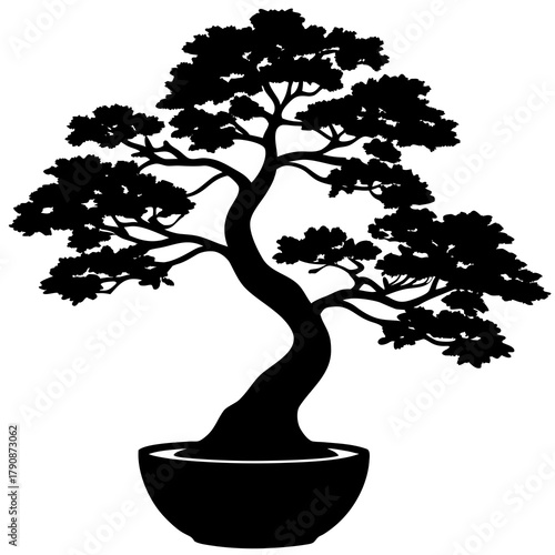 bonsai tree vector