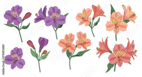 Vibrant floral design with purple and pink alstroemeria blooms on white background