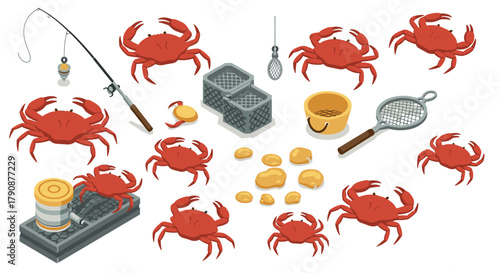 Isometric crab catching tools and red crabs on white background