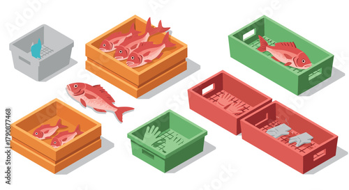 Fish in colorful crates top view isometric market scene