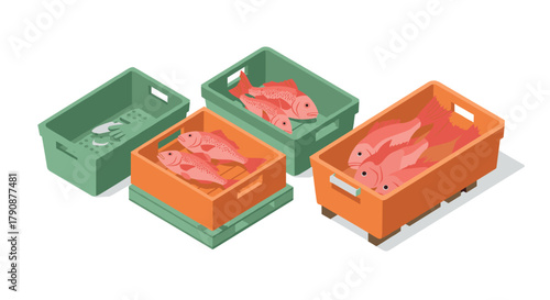 Isometric boxes of fresh fish assortment on white background