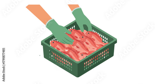 Person handling fresh fish in green crate with gloves