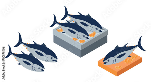 Fresh tuna arrangement with orange slices in isometric style