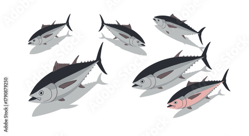 Stylized tuna fish school in flat design on white background