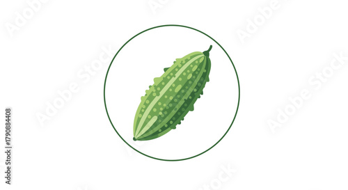 Bitter Gourd Fruit Illustration With Graphic Circle And White Background Design