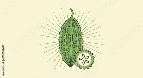 Bitter Gourd Illustrated in Minimalist Style with a Retro Burst Design Element