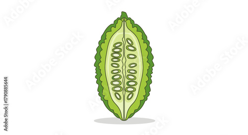 Bitter Melon: A Vibrant Botanical Illustration Depicting Freshly Sliced Vegetable