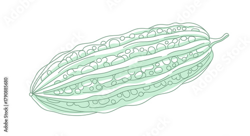 Bitter Melon Illustration: A Delightful Depiction of a Green, Refreshing Vegetable