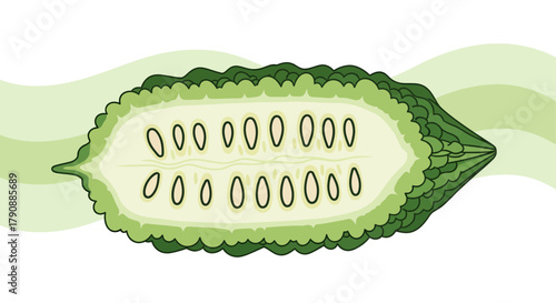 Bitter Melon Illustration: A Cross-Section of Dietary Deliciousness and Organic Freshness