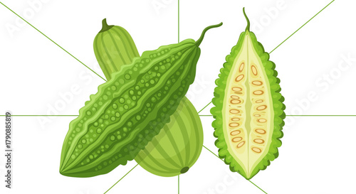 Bitter Melon Illustration Depicting The Entire Vegetable And a Section Cut Open.