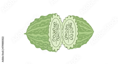 Bitter Melon Illustration Of Vegetable Cut in Half Isolated on White Background