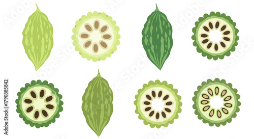 Bitter Melon Illustration Of Whole And Sliced Bitter Gourds Against A White Background