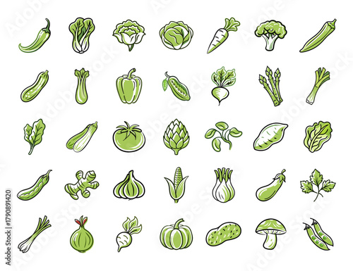 Green Vegetables Icons Set. Fresh Eco Farm Food Symbols. Vegan Healthy Eating Line Art Collection.