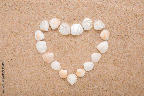 Created heart shape from white sea shells on dry light brown sand background. Closeup. Love concept. Closeup. Top down view.