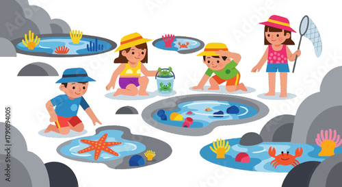 Children Exploring Tide Pools, Discovering Marine Life, And Having Summer Fun Together