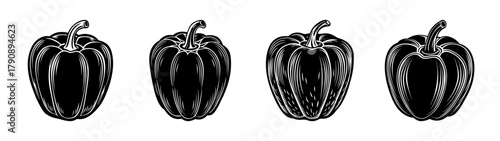 Black and white vector illustration of four sweet peppers for food blog and recipe design