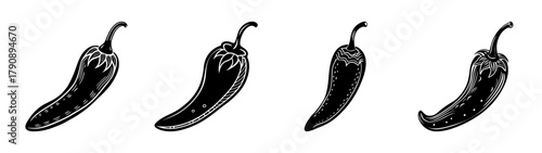 Black and white chili peppers vector illustration spicy food ingredient hot pepper design element illustration
