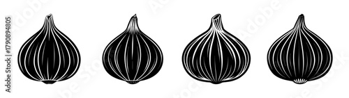 Detailed line art illustration of black and white seeds grains plant agriculture crop organic