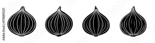 Explore black and white botanical illustration of seed pods for educational resources and art projects