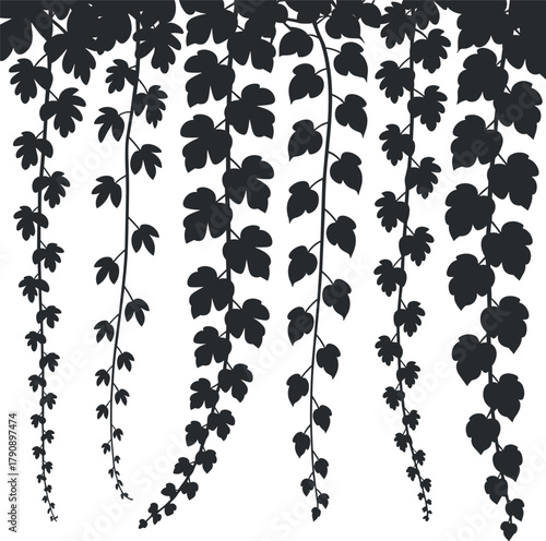 Hanging grapevine leaves silhouette background design