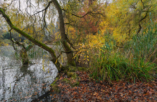 Wallpaper Mural Im Park herbstlich bunt und romantisch mit Teich Torontodigital.ca