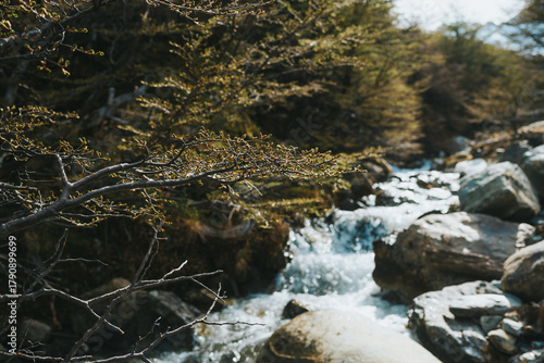 Glacier Martial - Ushuaia - Argentina
