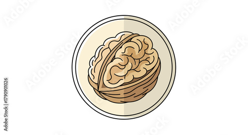 Conceptual Display of a Walnut Resembling The Human Brain For Cognitive Concepts